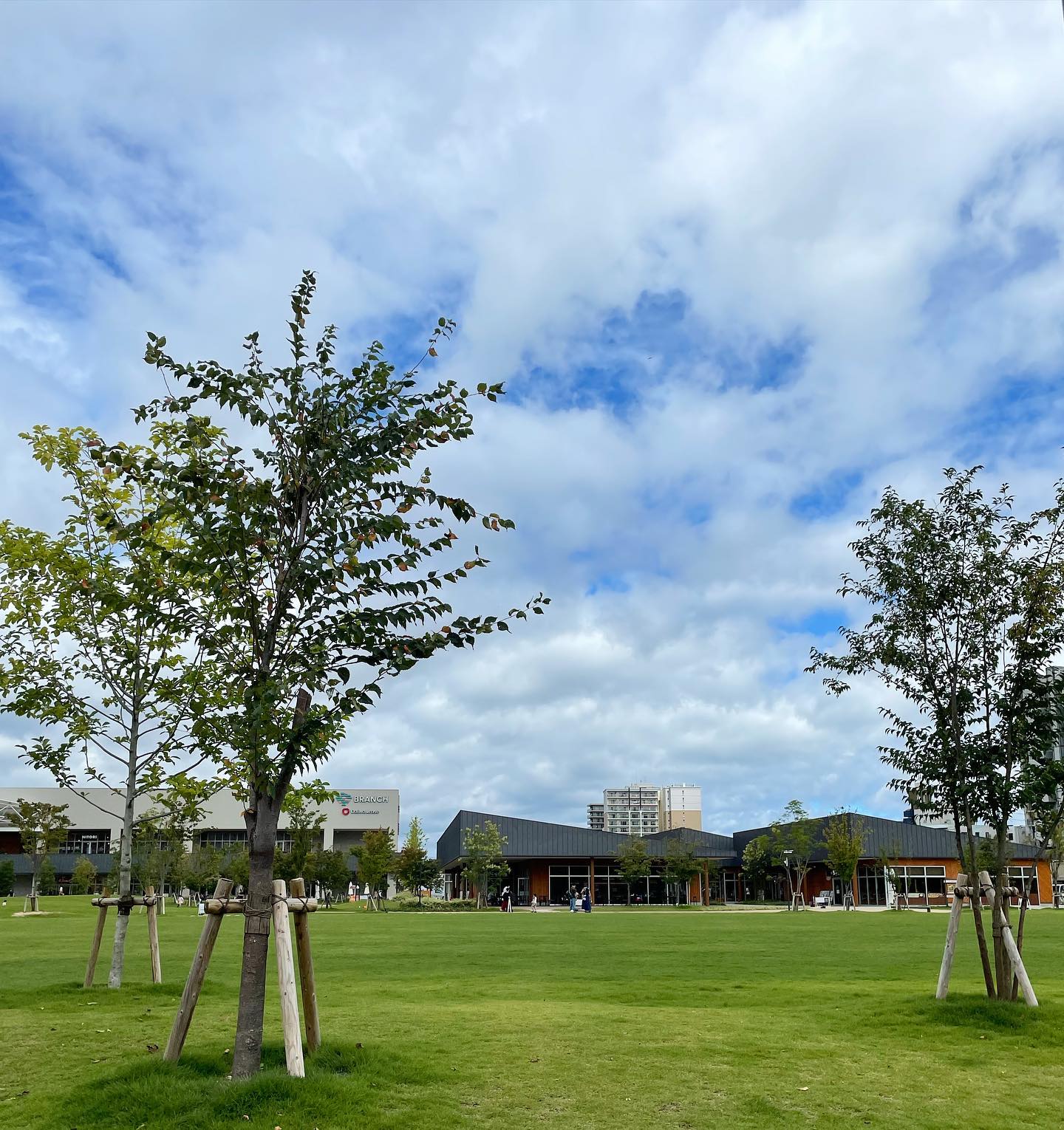 運動日和‍♂️🌬