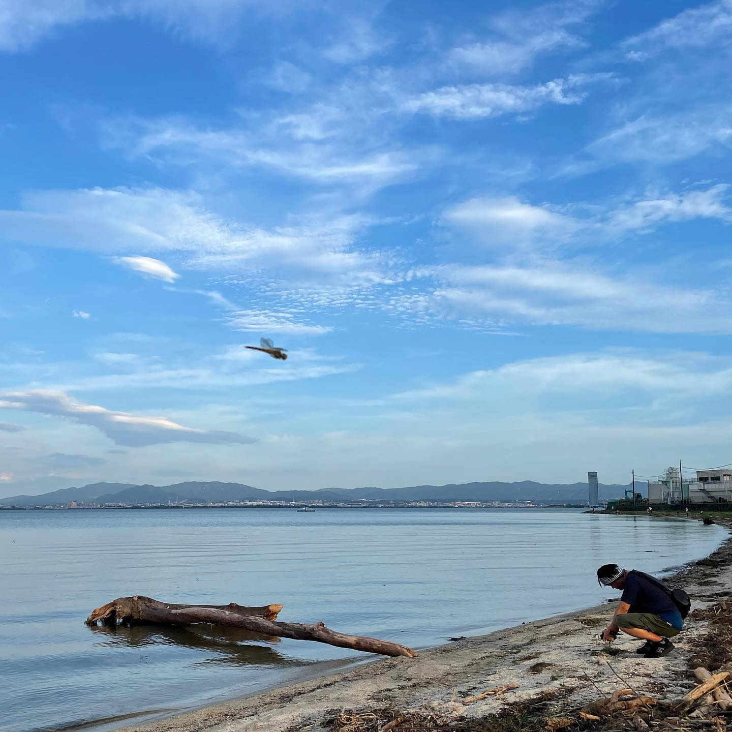 大雨後の柳が崎湖畔公園️