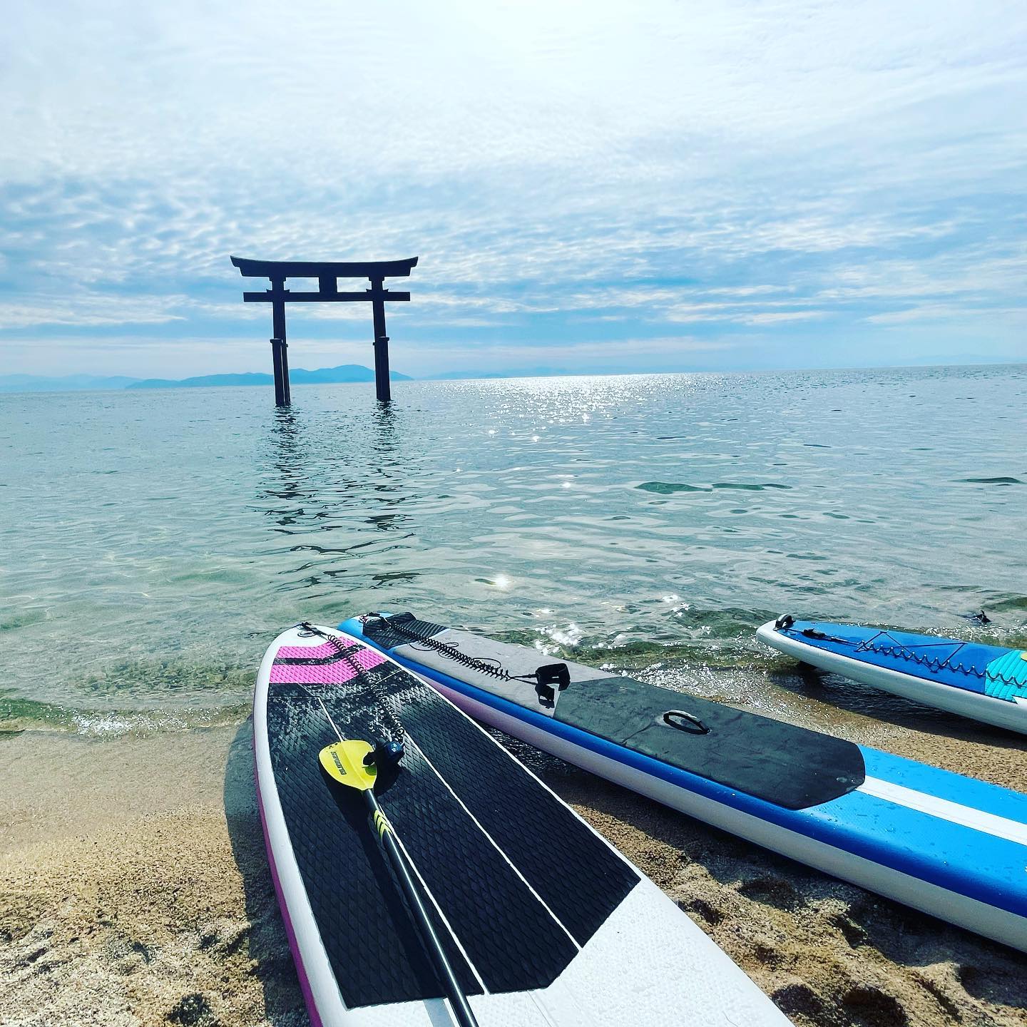 白ひげsup‍♀️