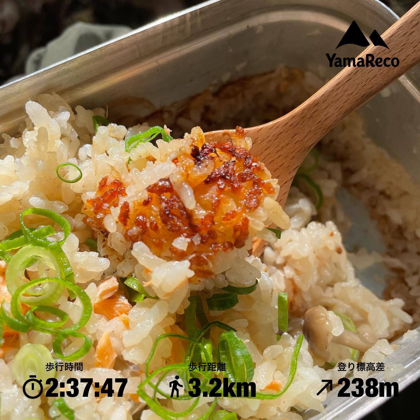 鮭とキノコの炊き込みごはん