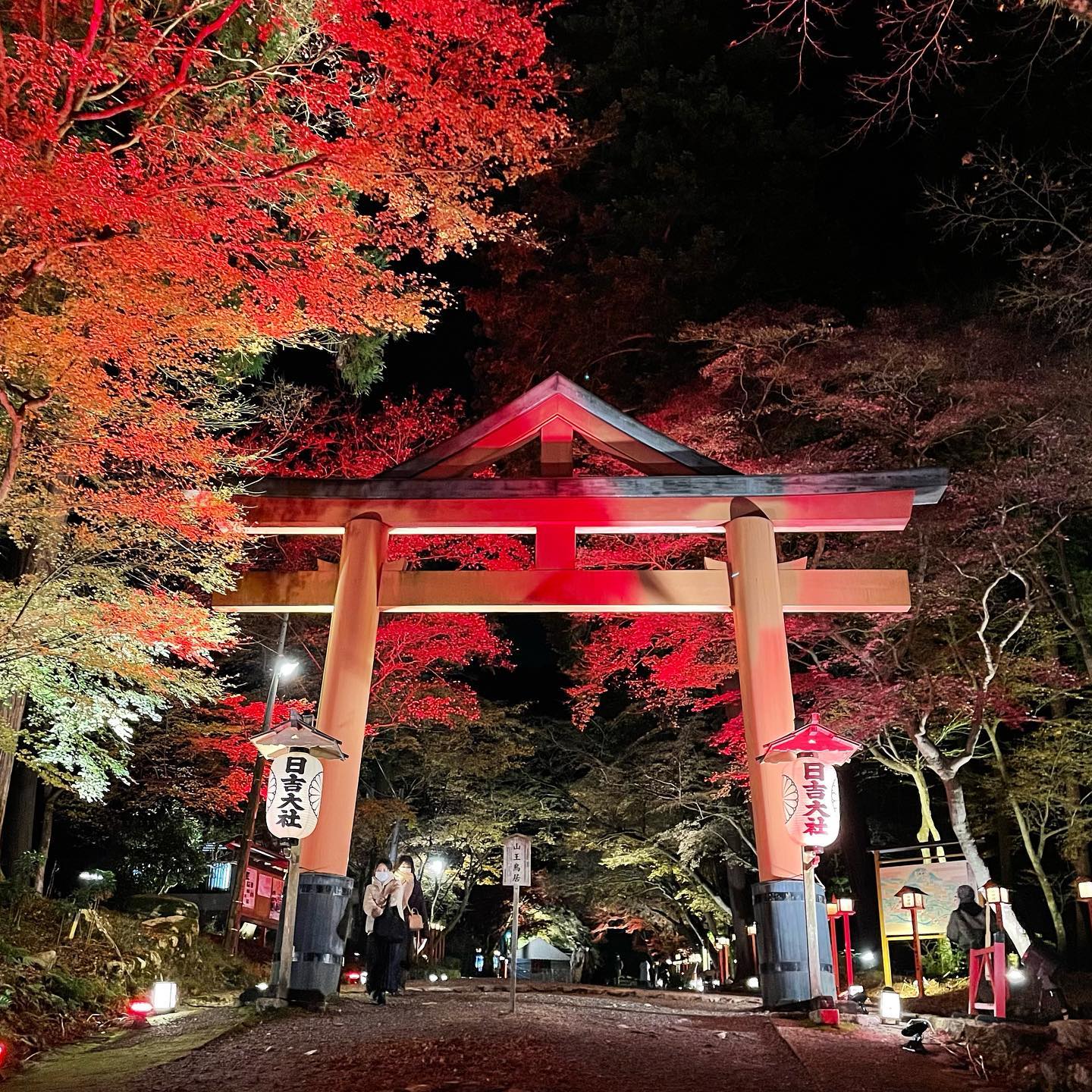 日吉大社ライトアップ2021秋