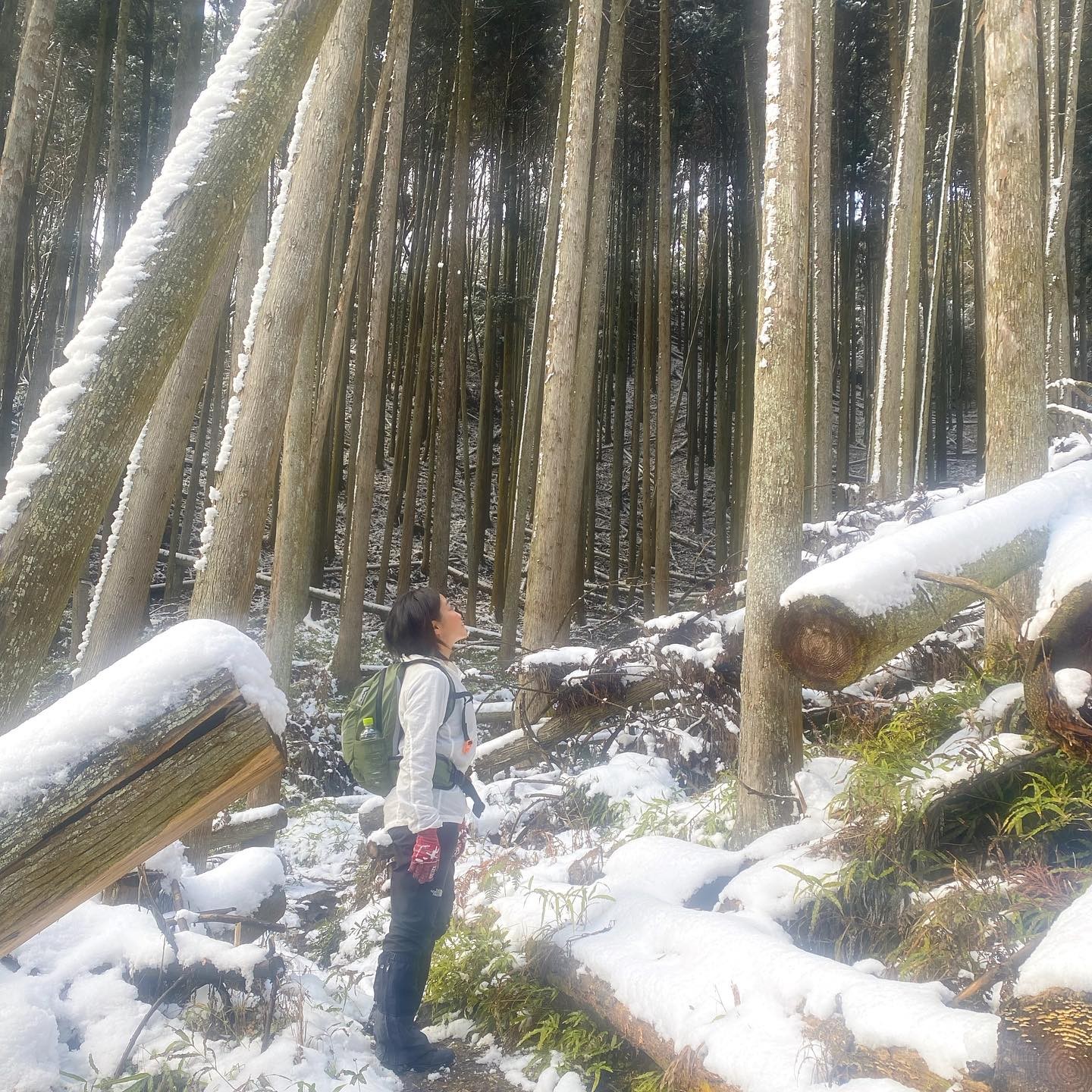 雪山ハイキング🏔